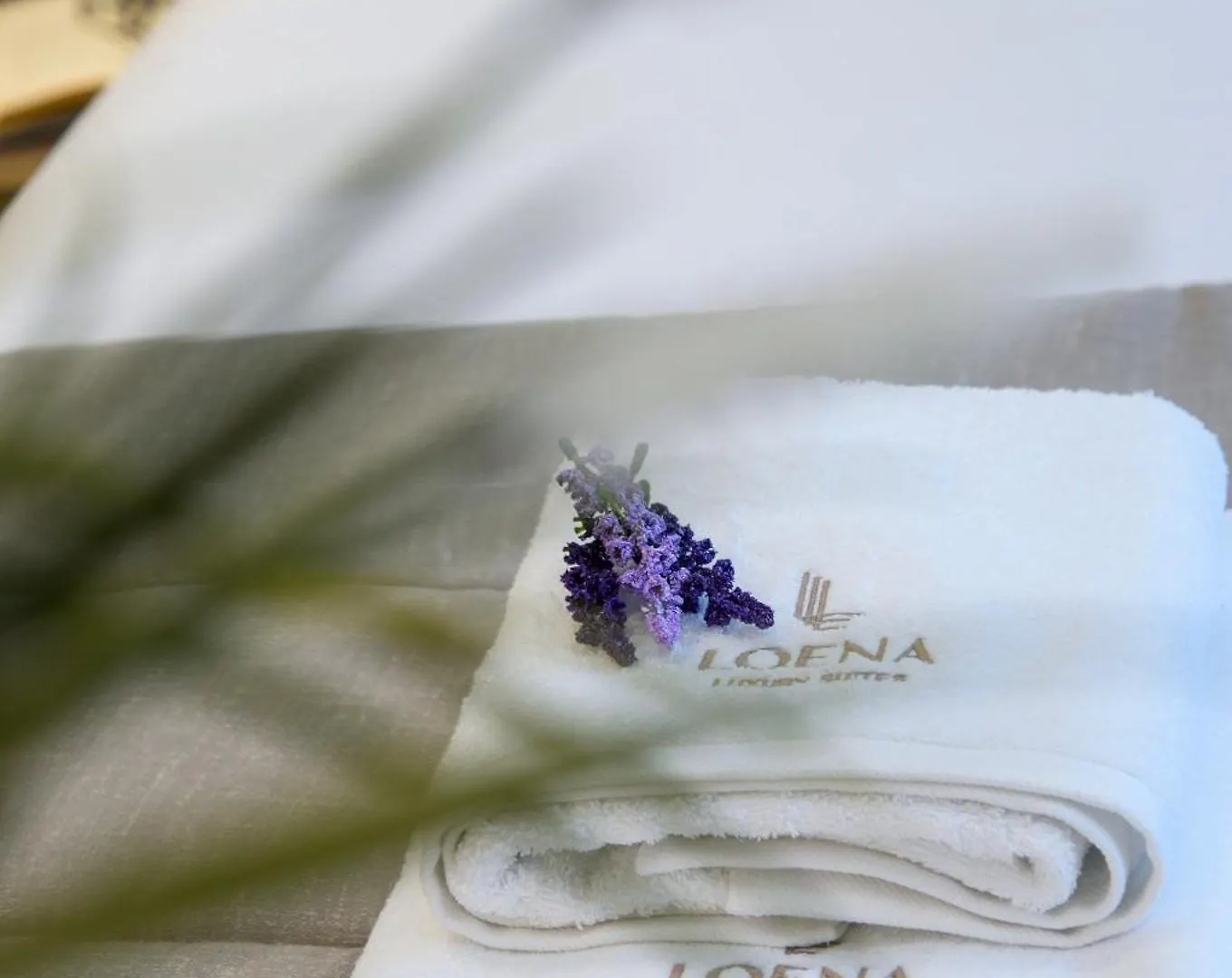 Loena Luxury Suites Θεσσαλονίκη Διαμέρισμα